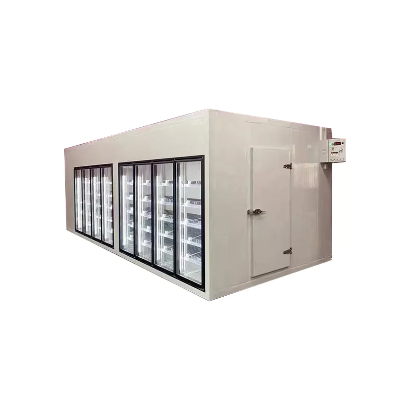 Cold room Display Cold Room Commercial Walk in Cooler with Glass Door Beer Cave Glass Door Engine Black LED Light Container Boat