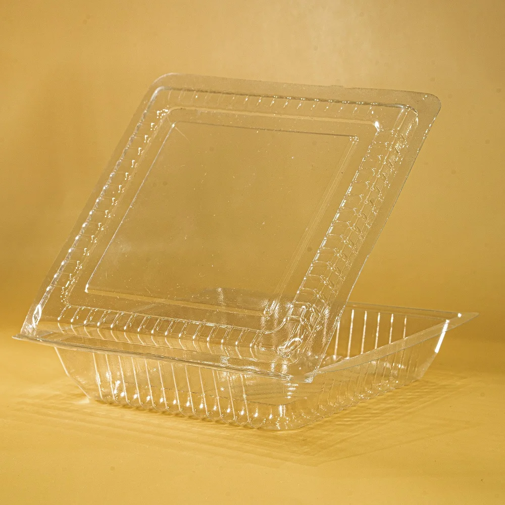 Square coin pet tray Plastic tray top quality best brand manufacturer from Vietnam Cheap price low MOQ selling well