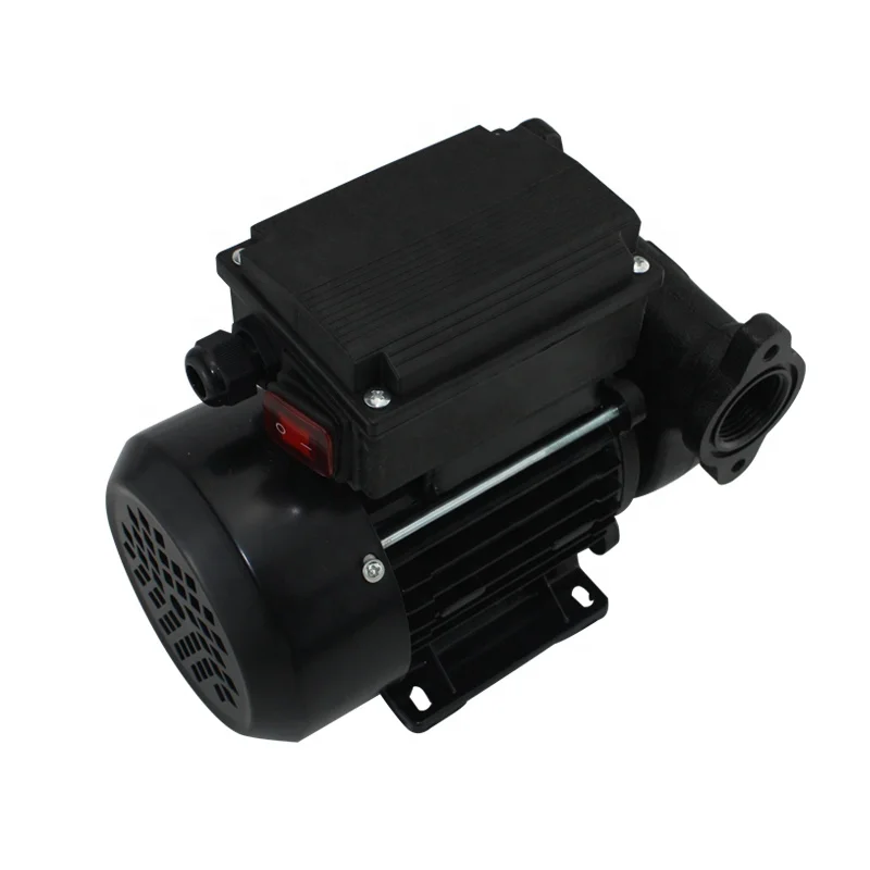 AC110  AC220V Portable Fuel Diesel Transfer Pump