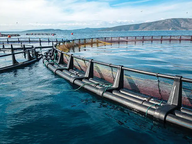 Китай высокое качество hdpe трубы и фитинги HDPE кронштейн Pontoon рыбья сетка клетка плавающая Тилапия рыбоводная
