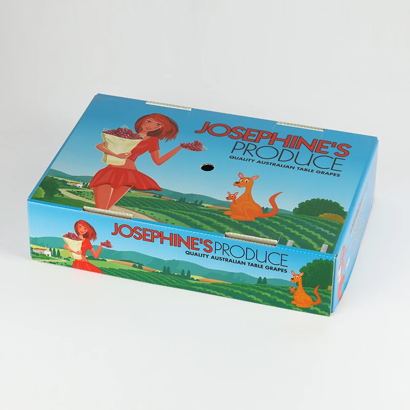 
PE Box Low Price Customized Anti-static PE Plastic Storage Box Wax coated cardboard box for fruit and vegetable packaging 