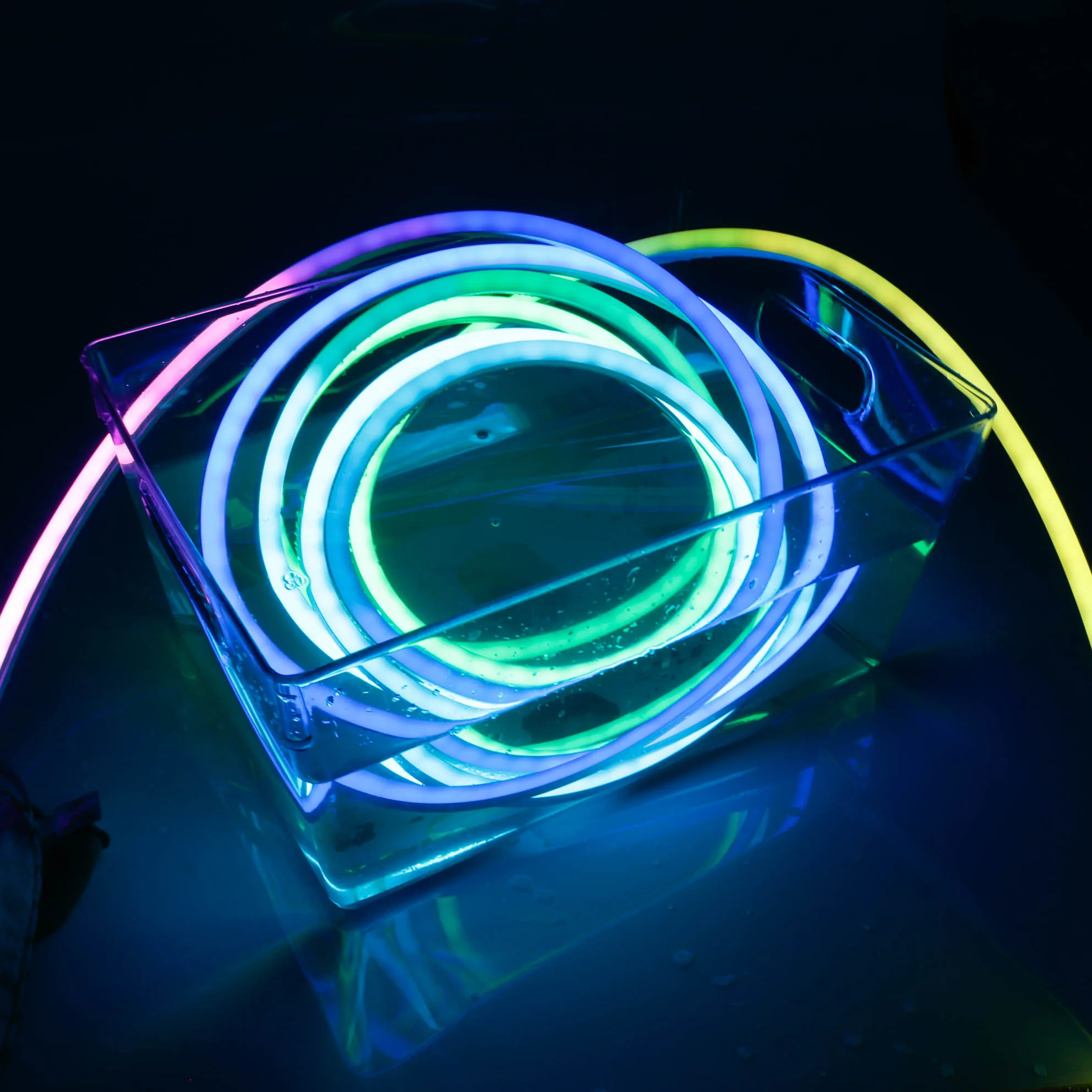 Custom Color LED Strip TV ceiling RGB DMX512 WS2812B DC24V 12V Digital Magic RGB/RGBW  Addressable Smart Strip Light