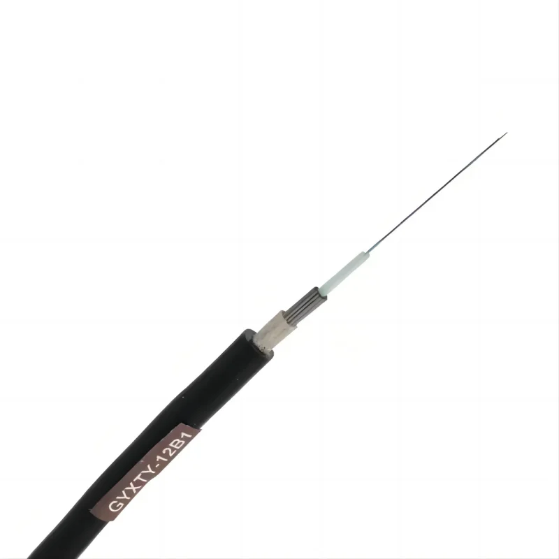 1km Outdoor GYXTY Fiber Optic Cable Single Jacket Steel Wire Armored 2 4 6 12 24 Core Single Mode MM G652D OS2 OM1 OM2 OM3 OM4