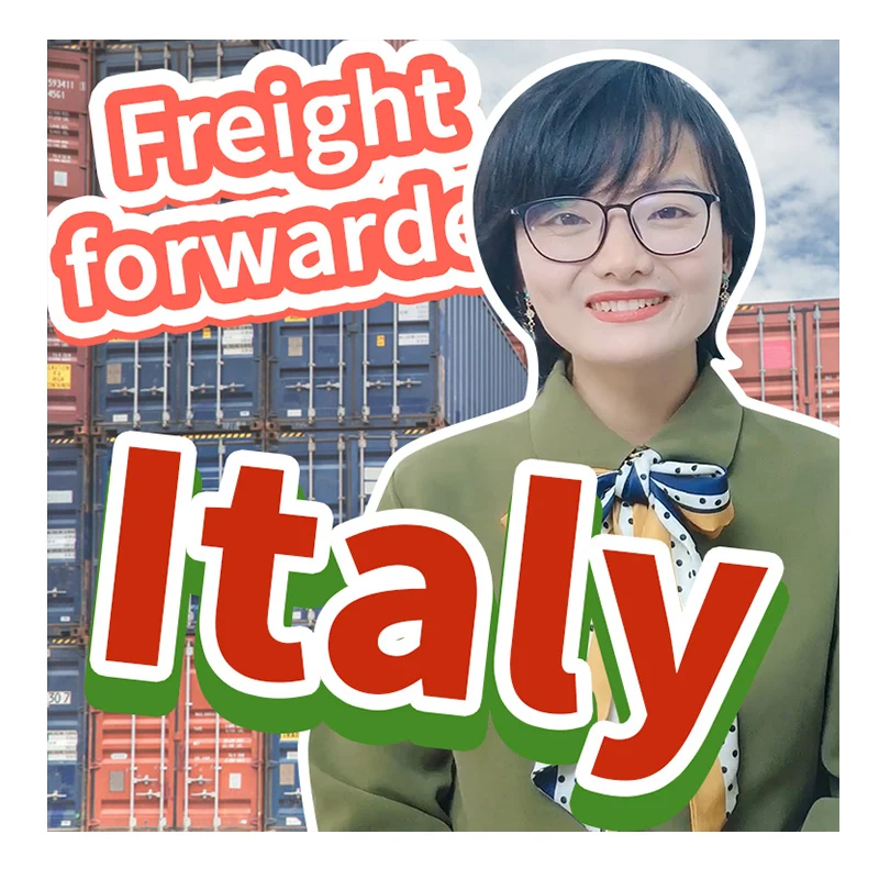 40 foot container shipping LCL door to door shipping from China freight forwarder/shipping agent to Italy