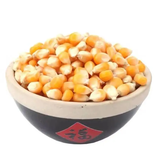Great price china shandong fresh vegetable seasonal high quality corn