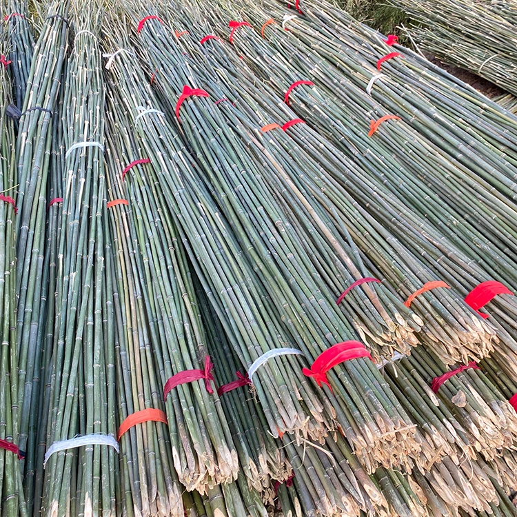 China Factory Direct Sales Of Strong Bamboo Fishing Rods 3M Long Bamboo Pole For Making Fence