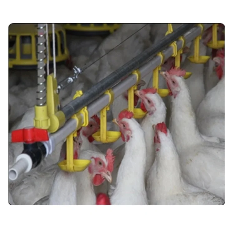 Nipple Drinker Chicken Nipple Drinking Line Chicken Feeders And Drinkers Poultry water cup