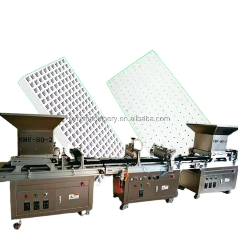 Lowest Price Fully Automatic Seeding Tray Sowing Vegetable Seeds Planting Machine Automatic Lettuce Tray Seeding Machine