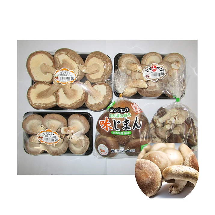 Well-known plump juicy fresh import mushrooms shiitake with nutrients