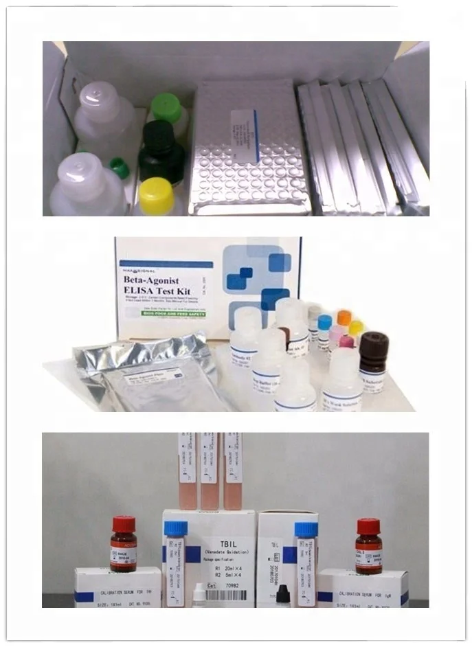 Biobase Manual Operation 96T Micro plate Elisa reagent kit AMH anti-Mullerian hormone for human serum