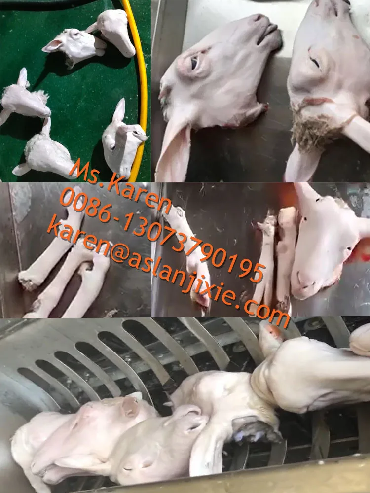 Auto Scalding De-hairing Machine for Sheep Head Feet Full Automatic Goat Hoof Hair Removing Shaving
