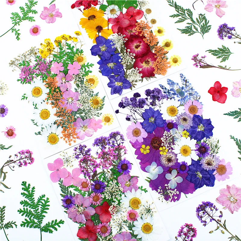 wholesale dry resin flowers necklaces tiny dried flowers for resin