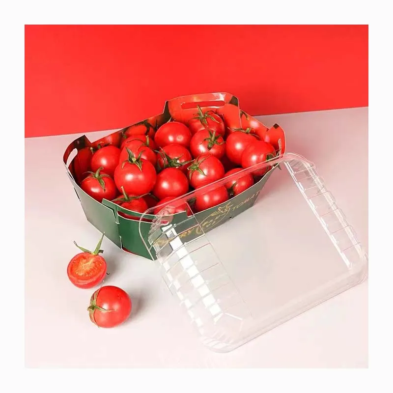 Wholesale Custom Printed Fancy Furit Vegetable Cardboard Paper Boat Tray With PET Lid