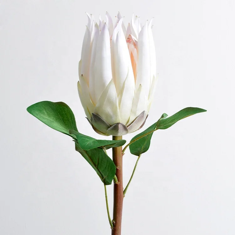 N-0028 Hot Sale Wedding Real Touch Silk Tropical Artificial King Protea Flowers