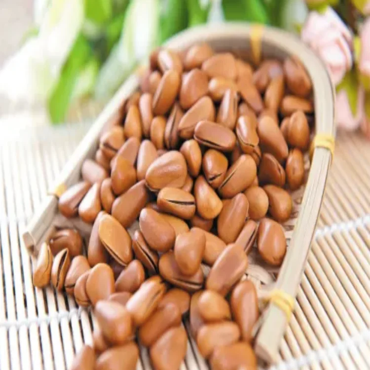 An organic pine nut used for oil extraction