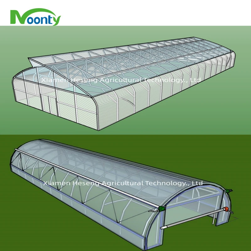 Greenhouse Made in China Tunnel Hoop House Agricultural Greenhouse