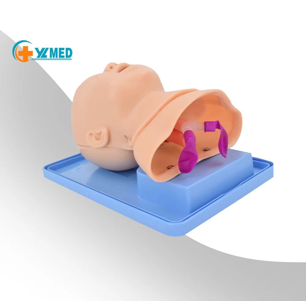 Фабричная модель для обучения интубации трахеи новорожденных медицинская рта и носа ухода за