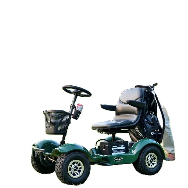 Single Seat CE Certified Electric Buggy Compact Portable with Electromagnetic Brake
