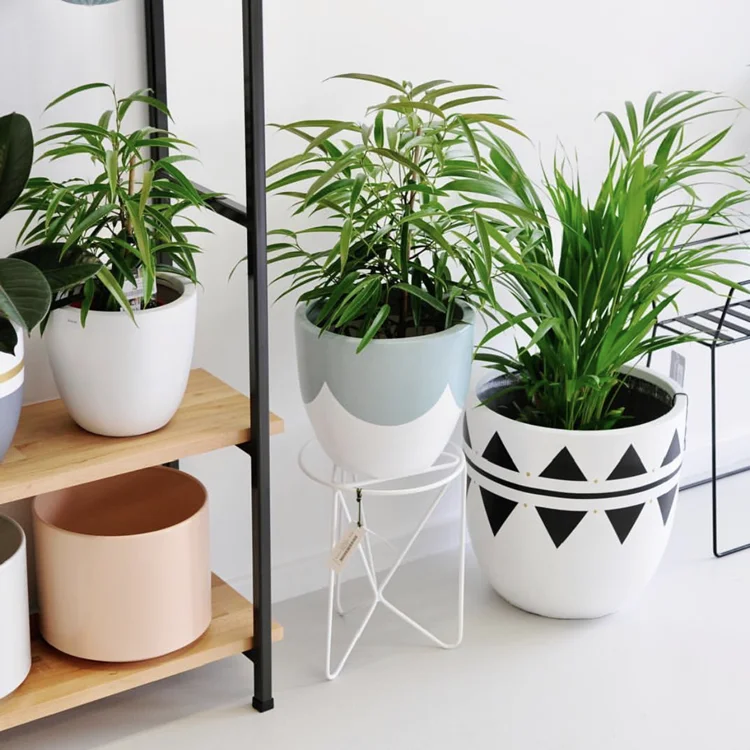 Лучший выбор творческий цветочный горшок половая декоративная горшка для садоводства