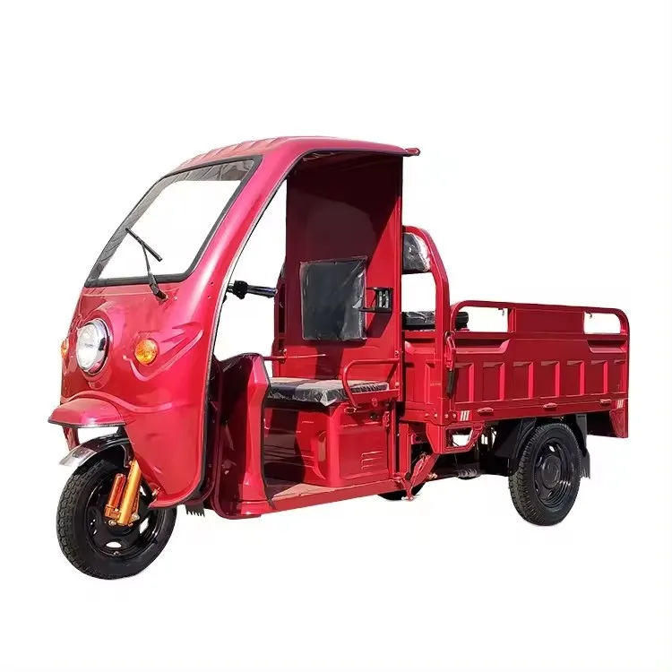2024 New Wholesale Cargo Tricycle 1000w 1500w 2000w Electric Tricycle Load Capacity 1000 Kg Cargo Etrike for  Sale