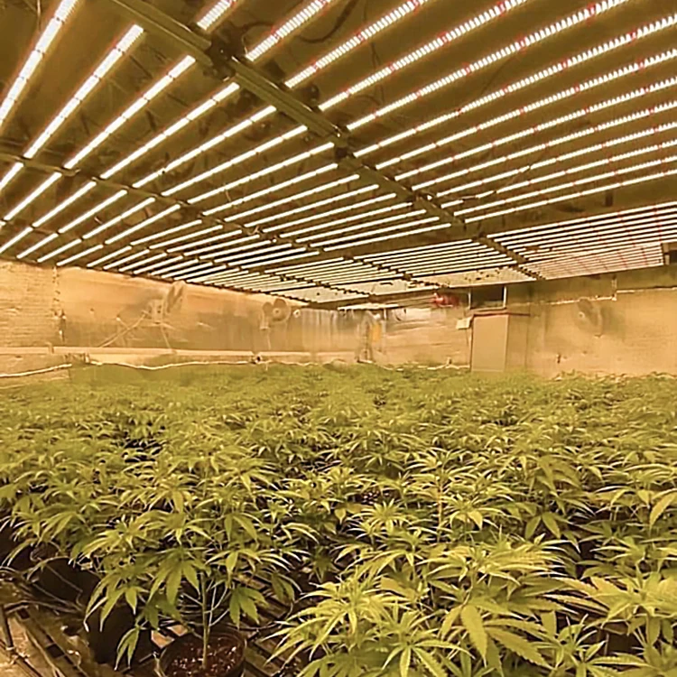 
600w 1000w full spectrum hydroponic Im301b bar hps cob led grow light 