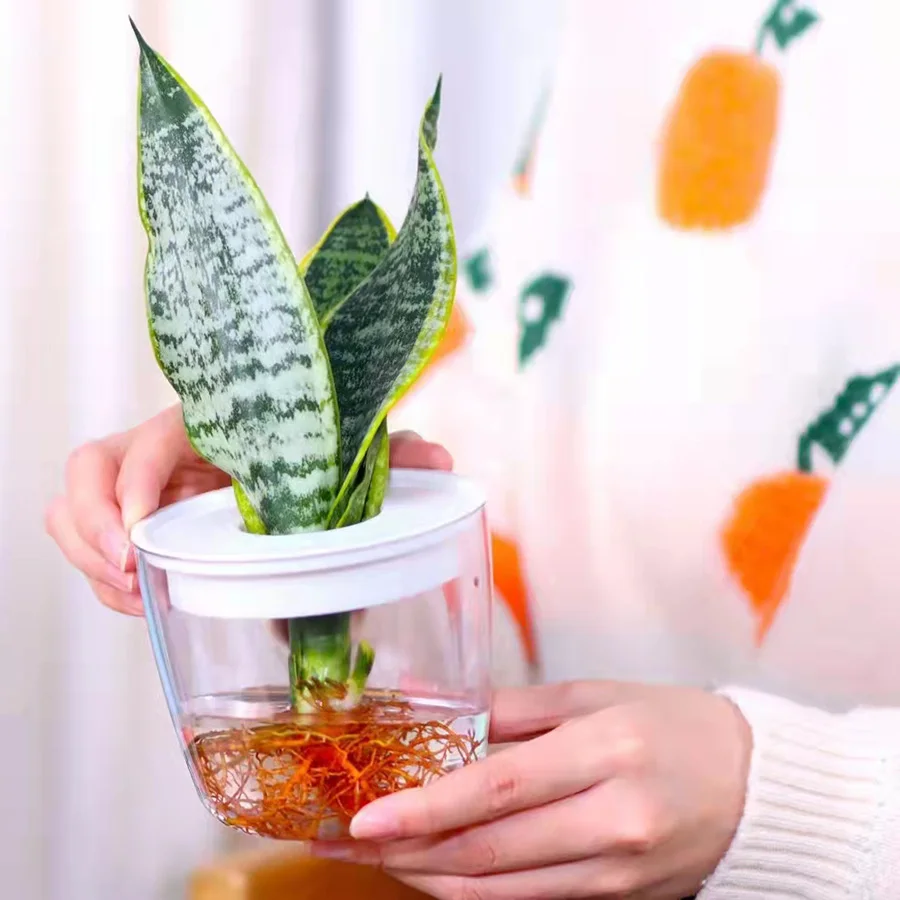 2022 New Design Small Orchid Flower Self Watering Plant Pot Home Decor Plastic Transparent Base Hydroponic Gardening Pot