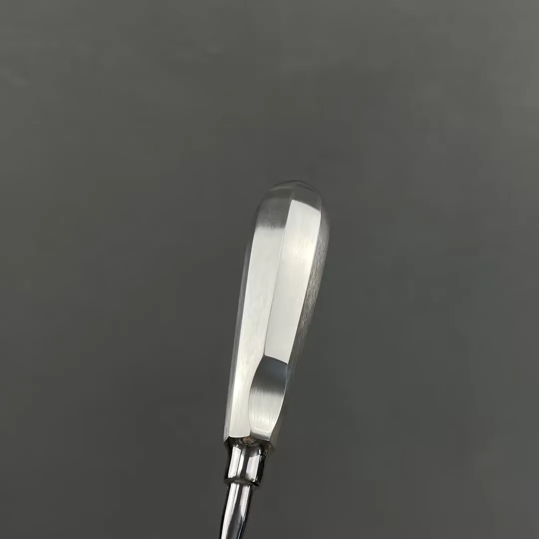 Root Elevator Str Steel Dentist Surgical Instrument Tool Dental Lift Root Elevator Dentistry Tools