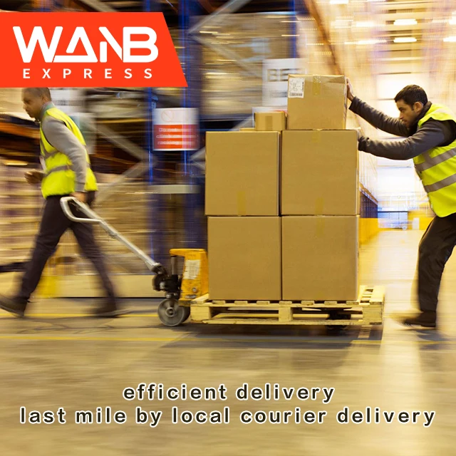 
Fastest Door delivery Shopify dropshipping from China To USA for 5 days 