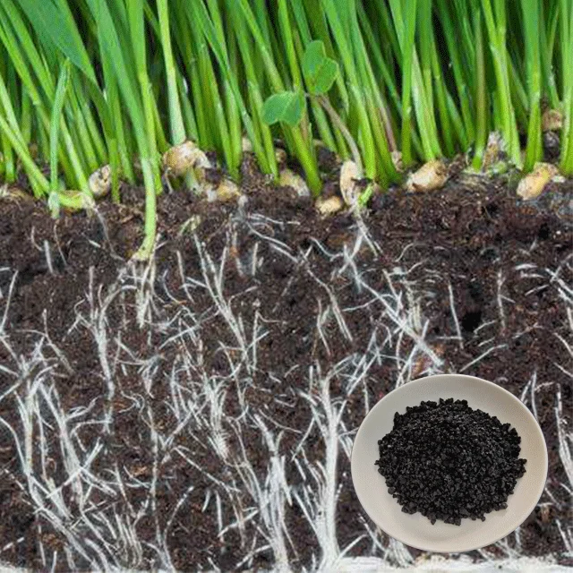 soil conditioner plant growth regulator proper price humic acid potassium humate 65%-70% granular