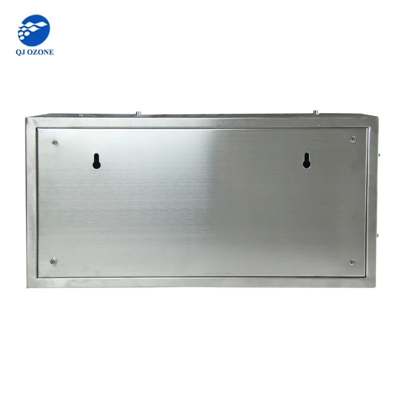 Wall mounted ozone generator air purifier 5g ozone disinfection machine