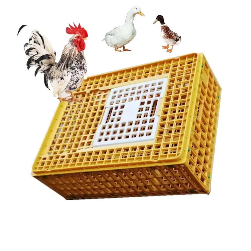 capacity 20-22 chicken transport crate live poultry Carrier HJ-DN015