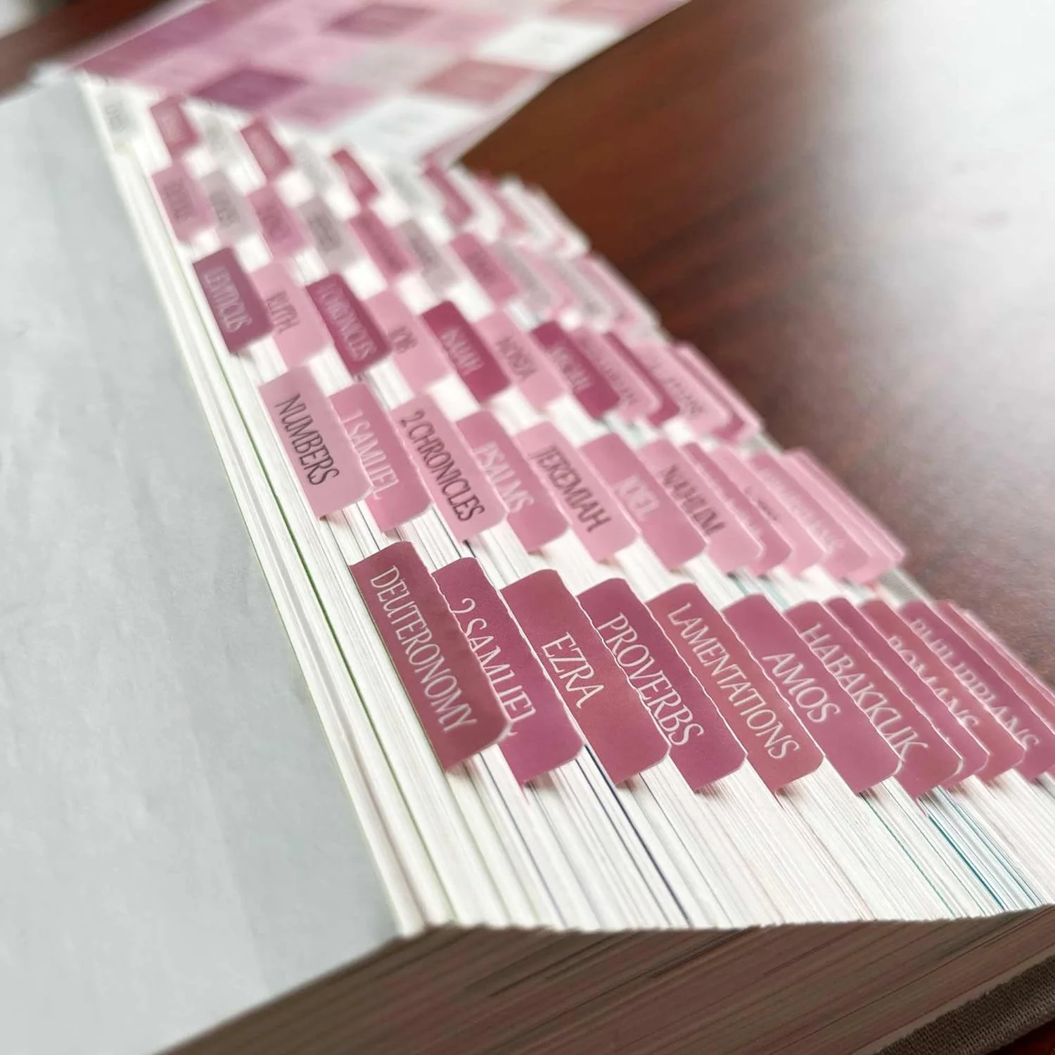 Custom Laminated Old and New Testament Bible Book Tabs Adhesive Bible Tabs for Women Bible Journaling