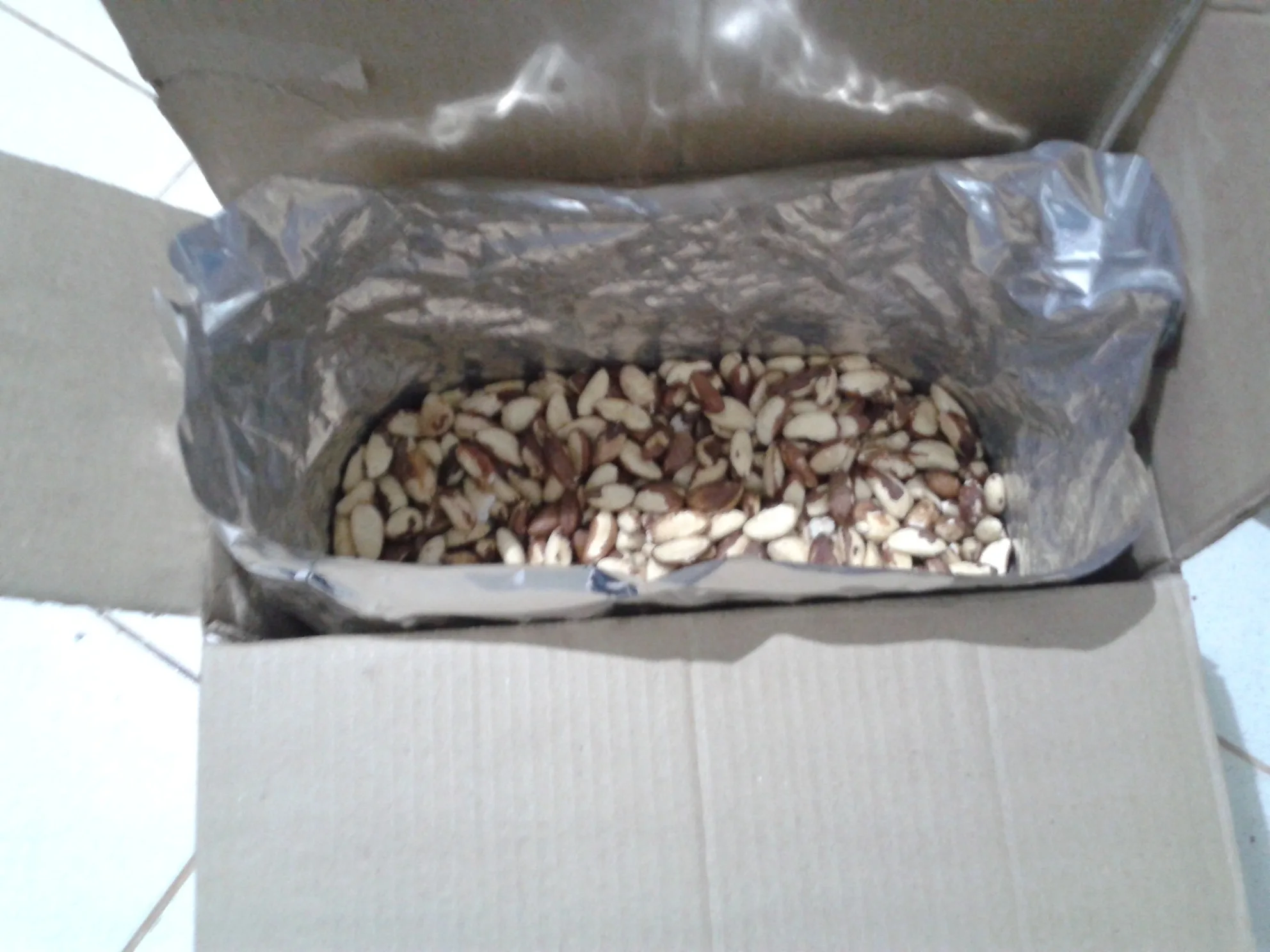 Brazil nut kernels - midget size - Shelled Brazil nut - Midget size grade between 160-180 nuts per pound