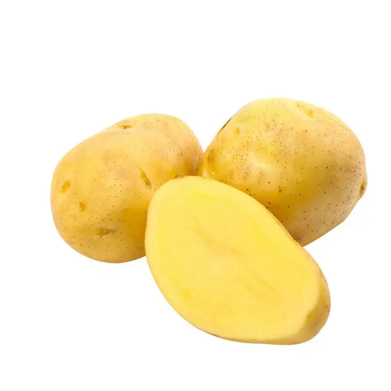 Factory Outlet High Quality in Bulk 2021 Potato with International Certification