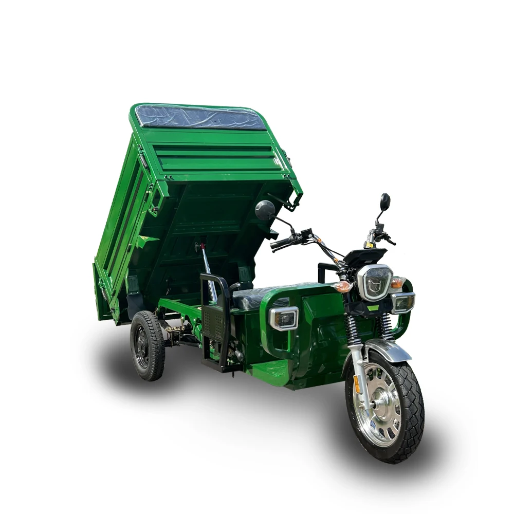 2024 Damping truck 2000w electric tricycles 3 wheel motorcycle 45KM Rear axle disc brake electric vehicle
