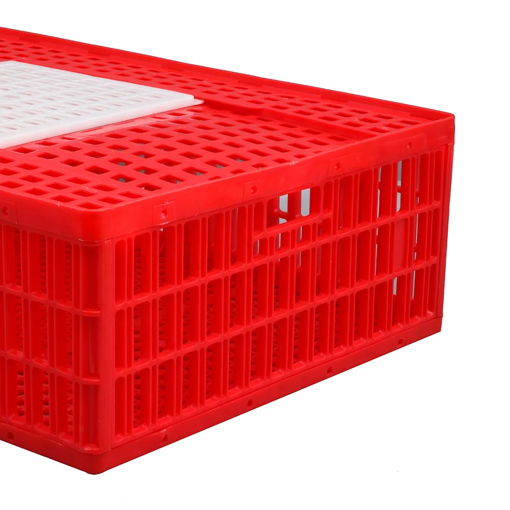 Easy grabbing 16 chickens hold large 900*600*270 mm disassembled foldable plastic poultry crate / transport coop