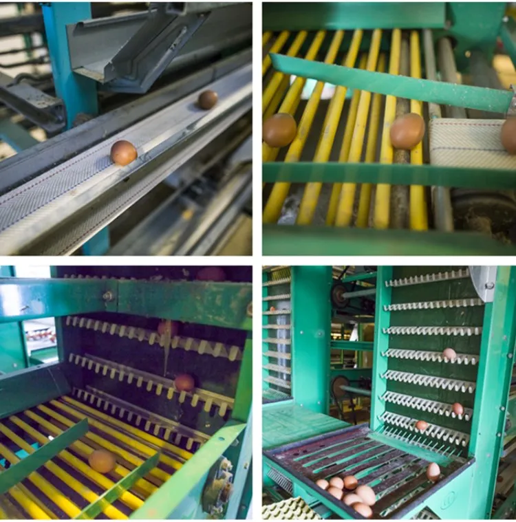 Zhengzhou Livi Egg Layer Chicken Cage for farm equipment with chicken house design
