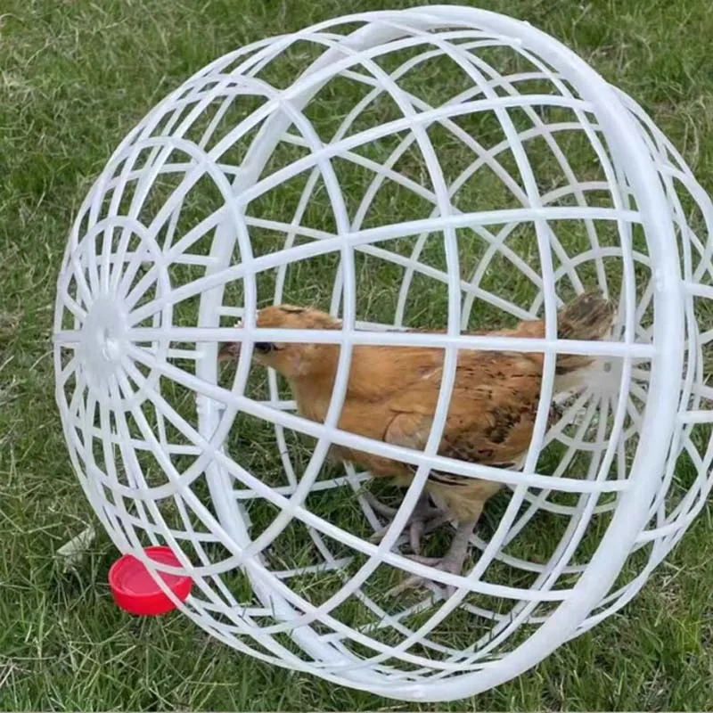 Walking Chicken Cage Plastic Spherical Pigeon Cage Round Rabbit  Duck Cages Can Roll and Walk To Feed Free Range