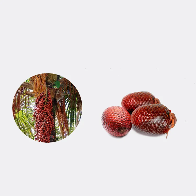 Aguaje Extract Powder Mauritia Flexuosa