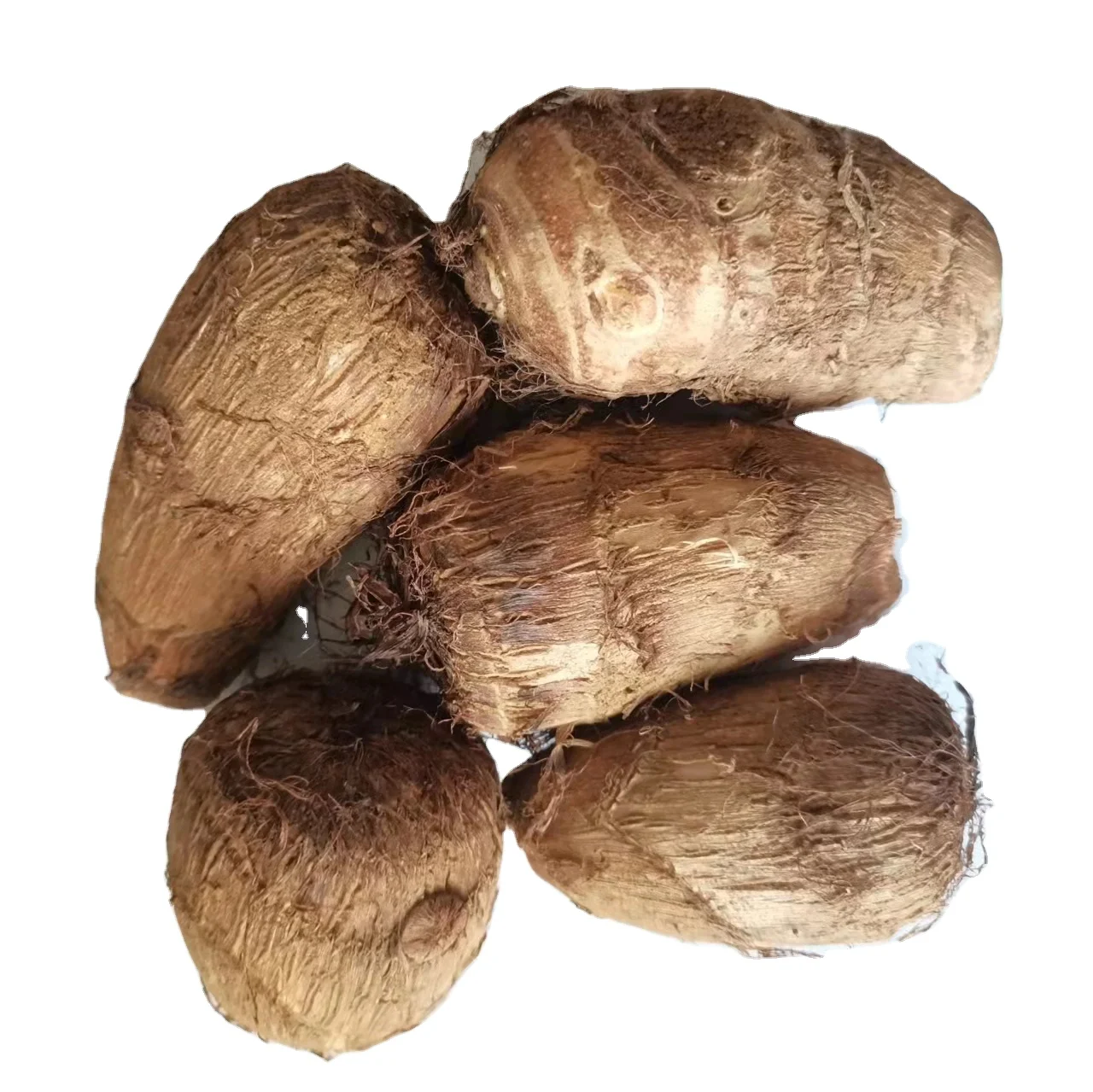 Chinese fresh taro new harvest fresh taro factory directly supply fresh taro