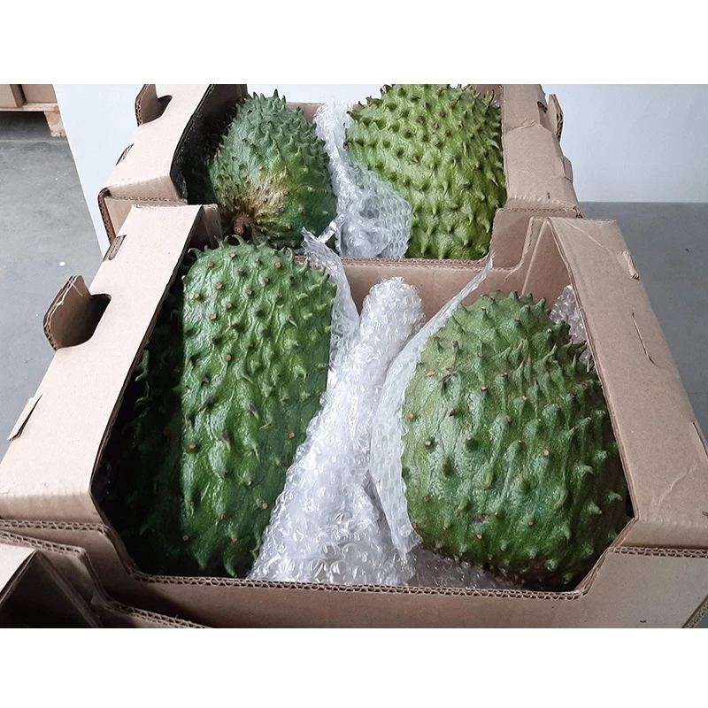 Fresh Soursop Guanabana Fruit With Juicy and Gelatinous White Pulp
