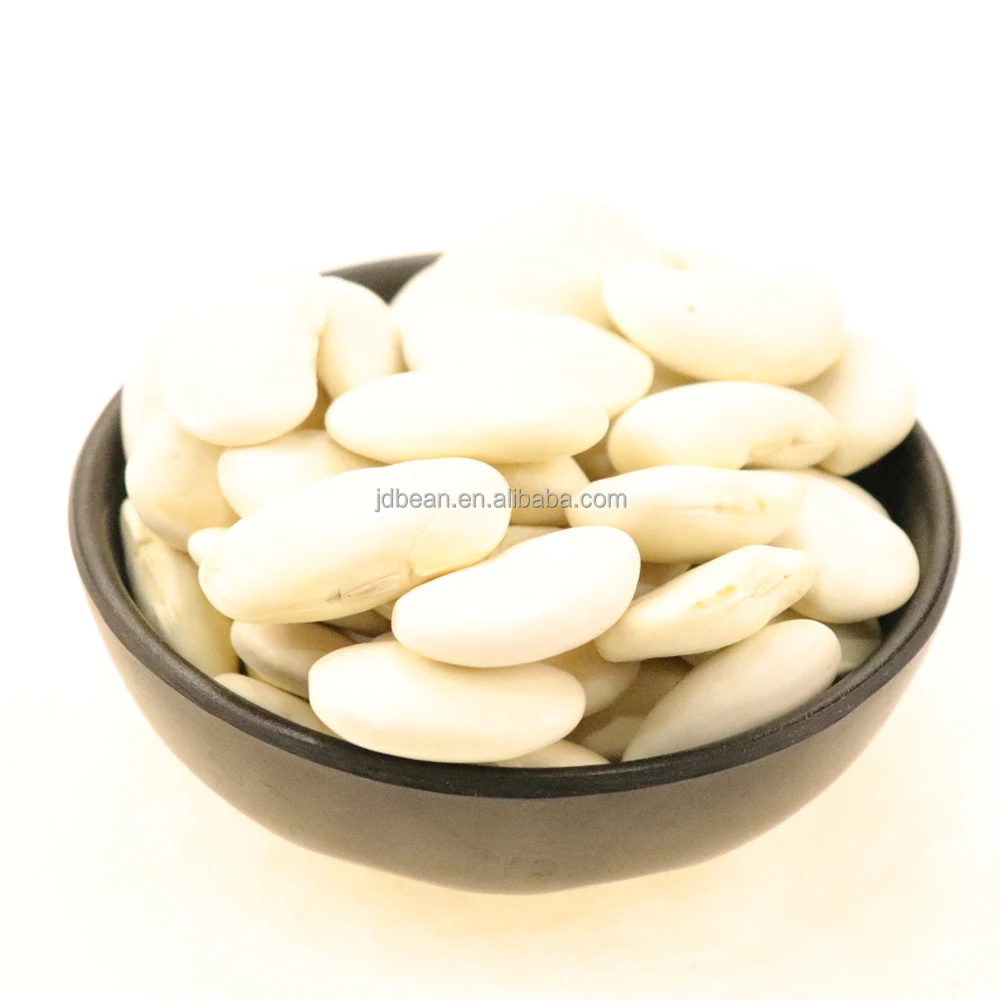 Natural Wholesale Top Grade 85 pcs White Kidney Beans For Exporting High Quality Large Big Kidney White Butter Beans