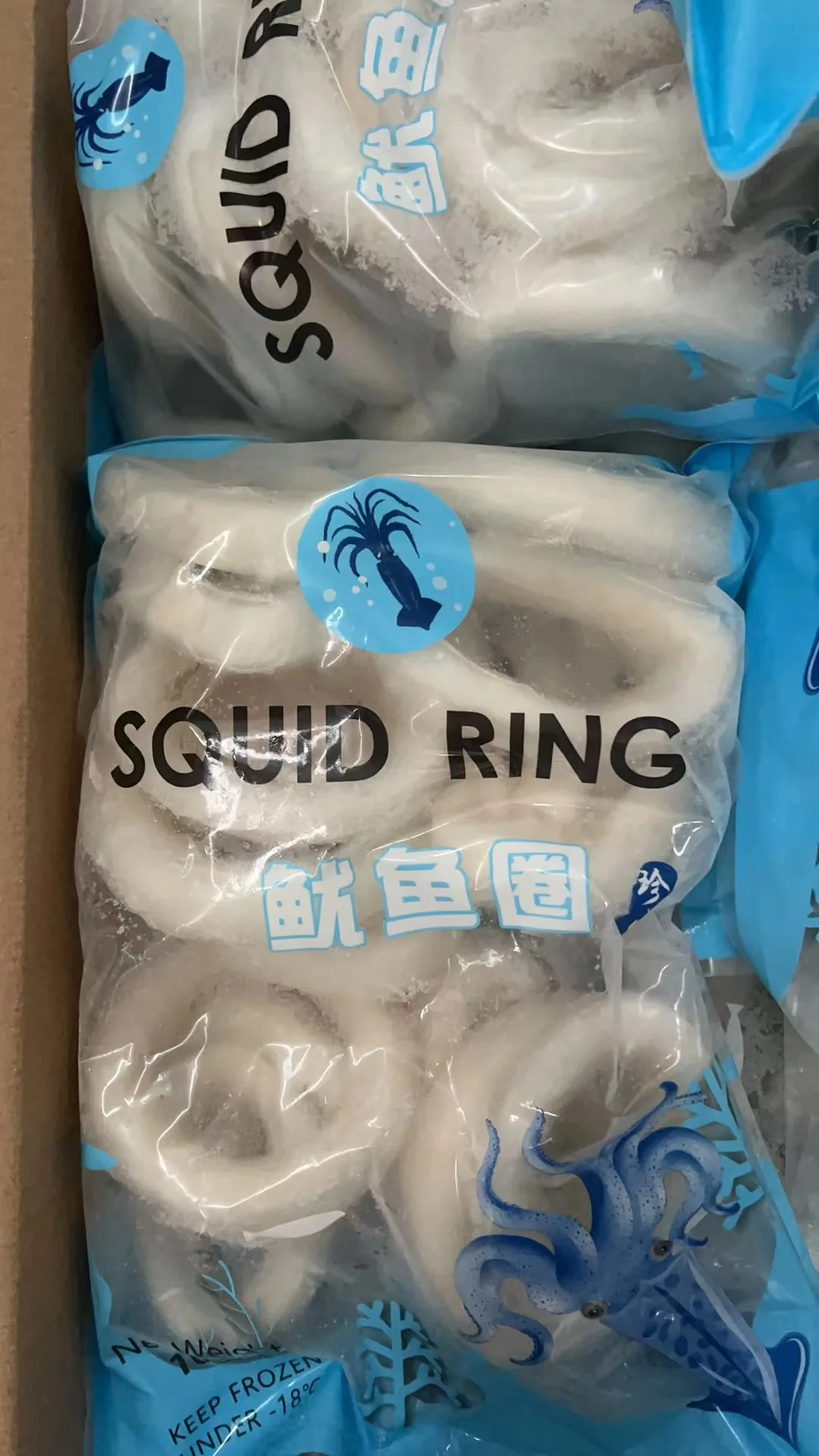 Skin Off squid ring new processing without skin squid ring good quality