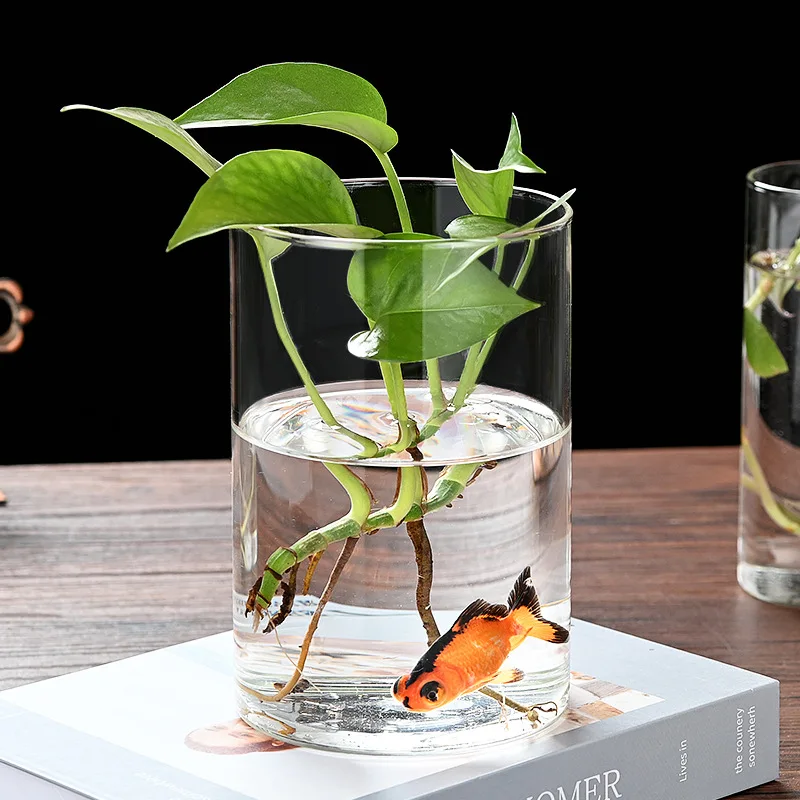 High Borosilicate straight glass vase rose fish tank flower arranging device hydroponic landscape flowerpot vase glass ornaments