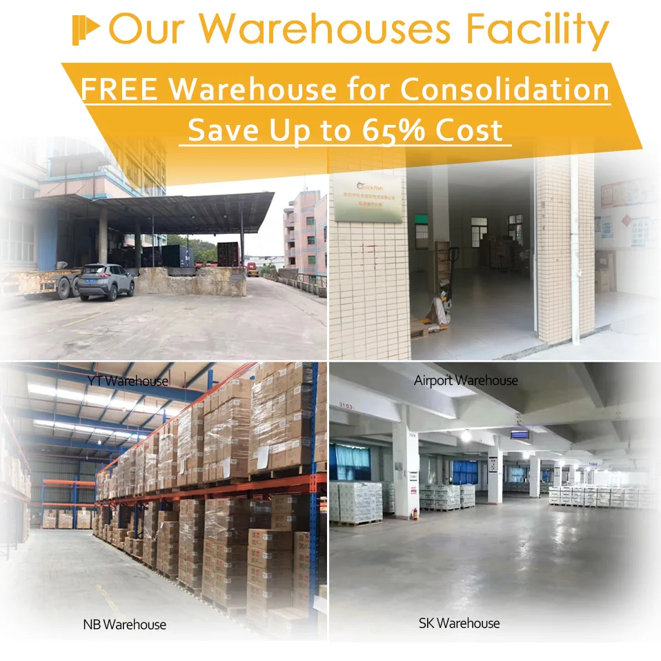 Ausdirect Leading Shipping Freight Forwarder China to Australia New Zealand