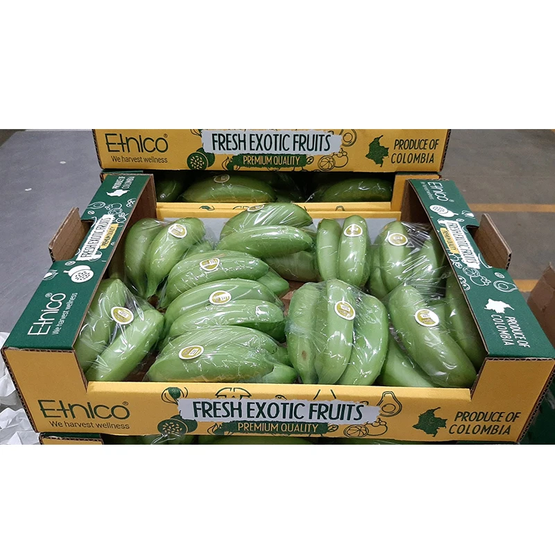 Fresh Corp Fruit Banana Bocadillo Best Fresh Wholesale Baby Banana On Selling