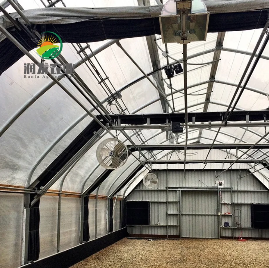 Commercial Cheapest Hot Sale Automated Agriculture Poly Tunnel Light Deprivation Greenhouse