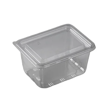 Wholesale Disposable Clear Transparent Plastic Box For Fruits Vegetables
