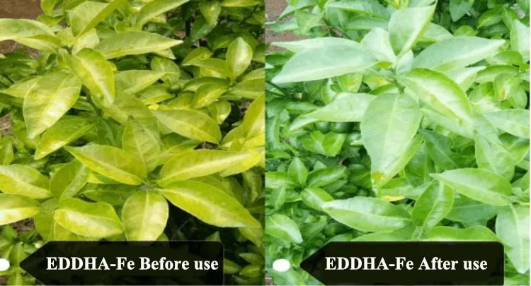 Заводская Прямая цена, качественное удобрение из железа и хелата EDDHA Fe 6% eddha fe 6 гранулированное для урожая