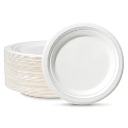 Disposable Biodegradable Odm Oill Proof Plate Dishes Tableware Natural Sugarcane Bagasse Sublimation Sauce Paper Plates Dishes